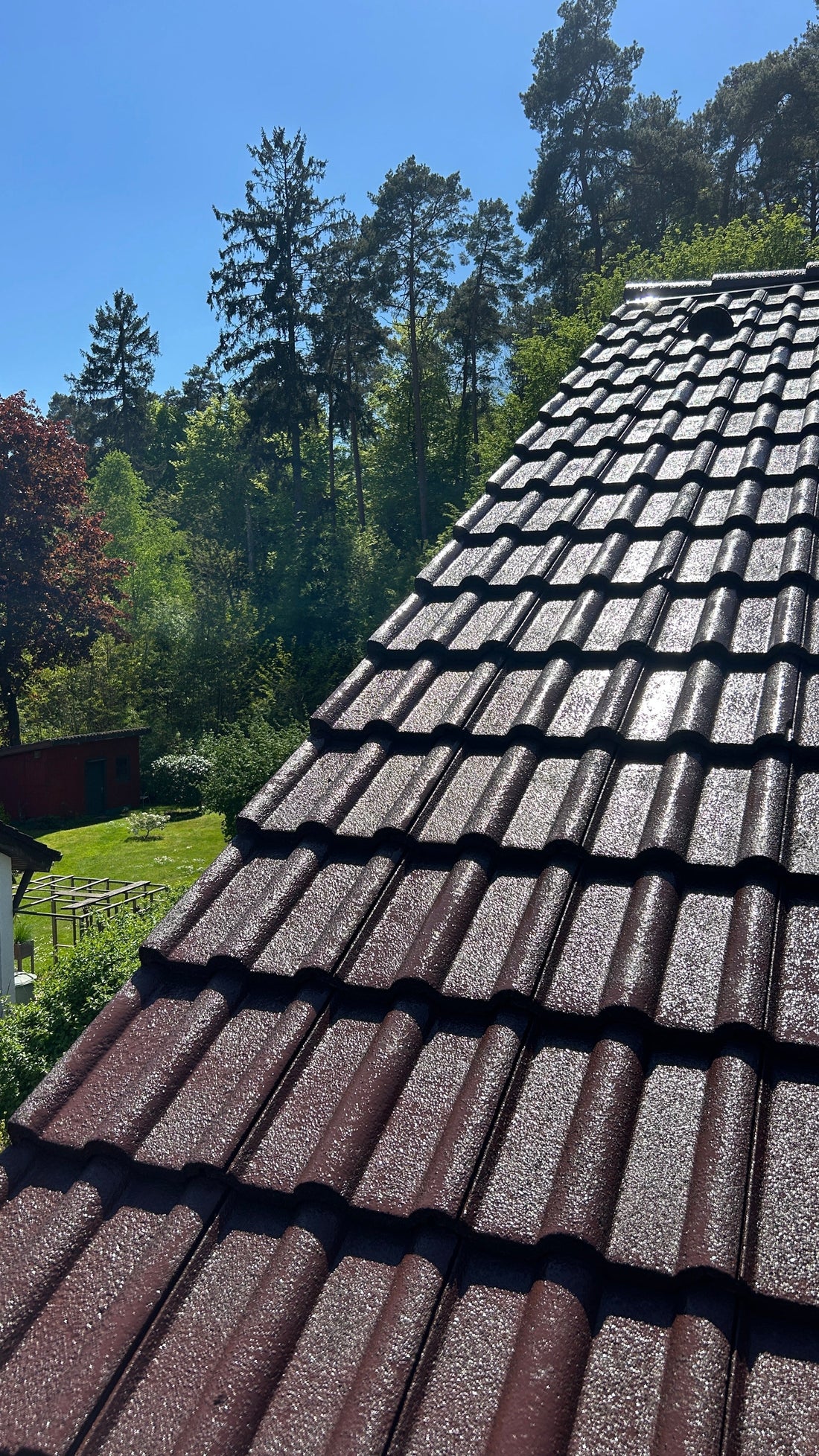 Dachreinigung  / Dachbeschichtung